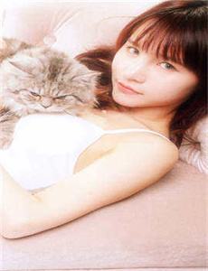 在线免费成人电影/在日华人:以后上街演讲会担心袭击