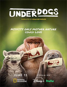 整点爆破 第一季