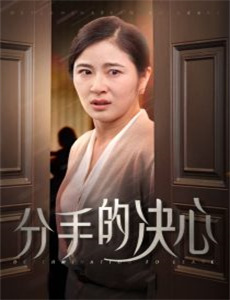 我的天才女友 第四季